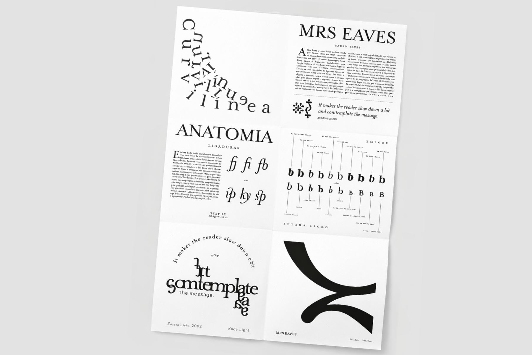type specimen flyer