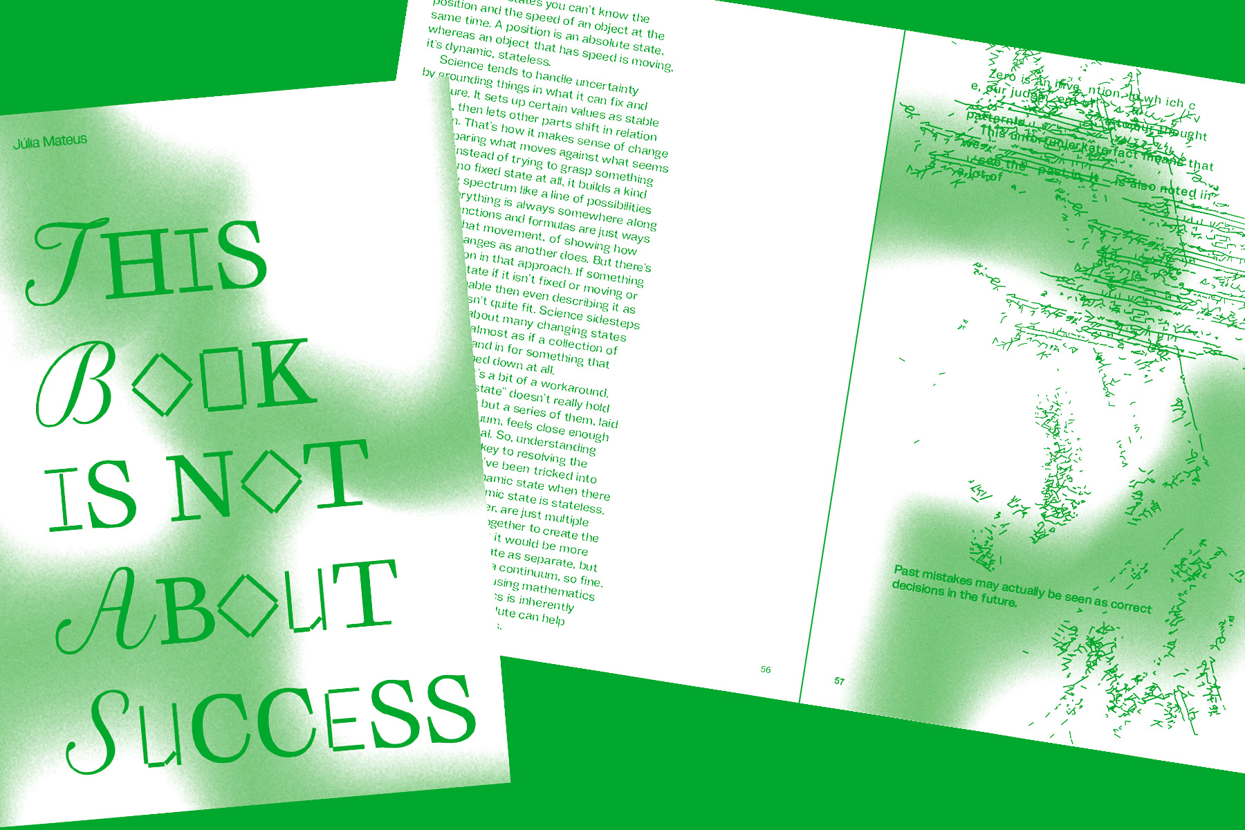 this book is not about success
