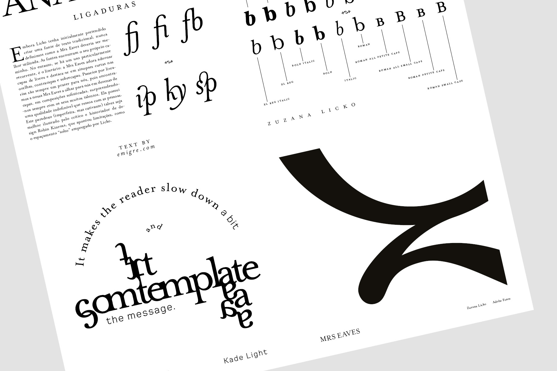 type specimen