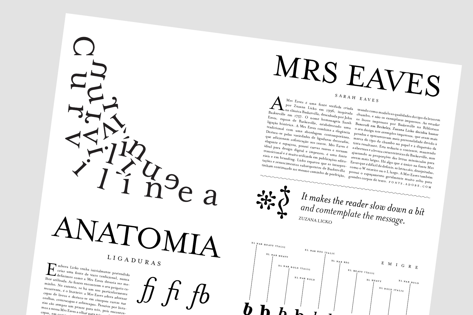type specimen